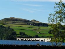 crook hill.jpg
